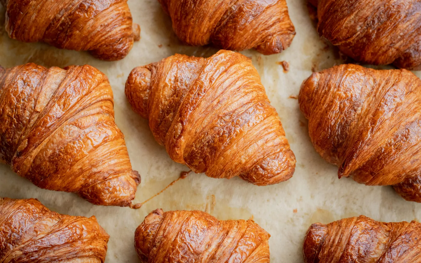 Tray of golden butter croissants on parchment
